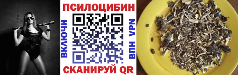 Купить закладки  Озёры  Псилоцибиновые грибы Magic Shrooms 